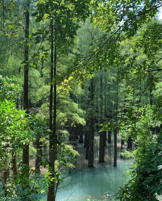 五桂山自然風景區，邂逅人間仙境