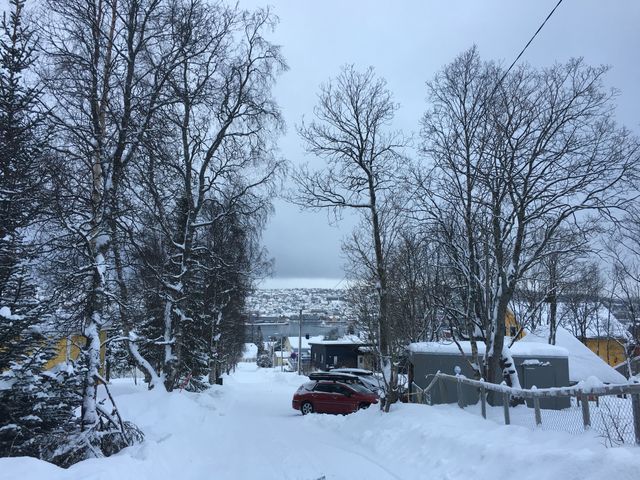 挪威•特羅姆瑟|沉浸式地體驗一次冰雪童話