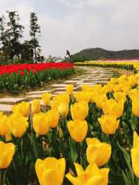 銅陵梧桐花谷｜山水秀麗，花開四季