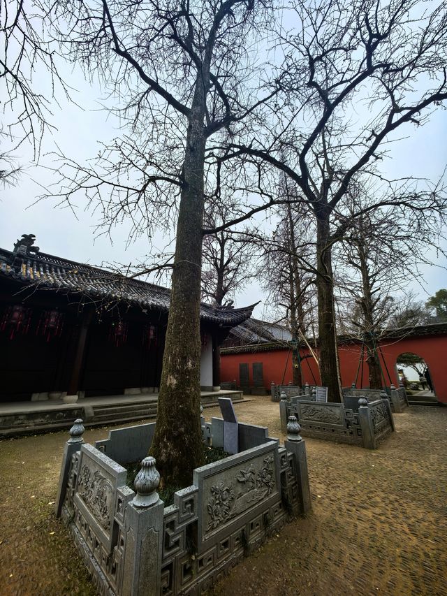探尋孔子家族南遷的足跡 | 衢州孔氏南宗家廟
