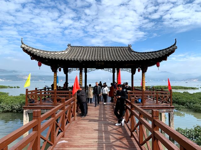 山海紅樹林