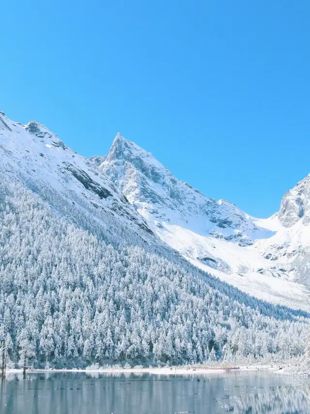 2-Day Forest Oxygen Bar Tour in Kangding