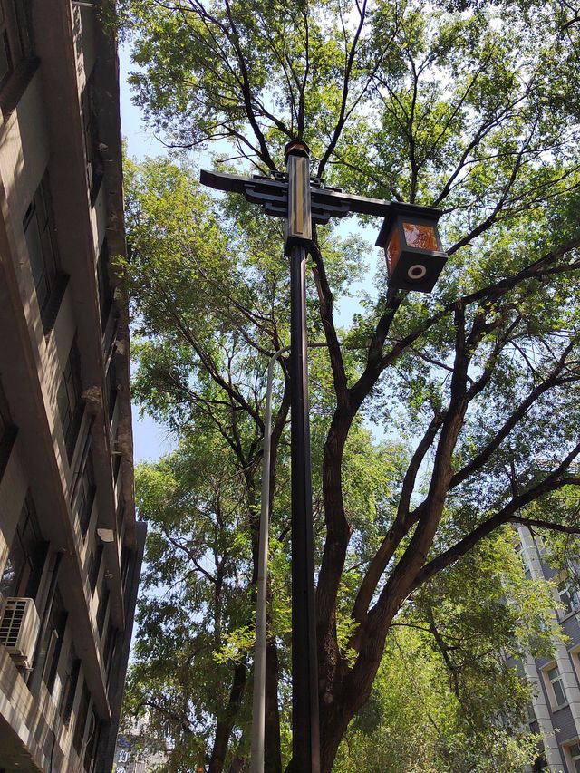 歐洲多國探秘博物館裏的時光之旅