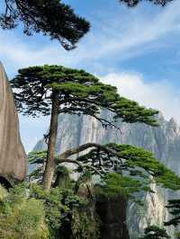 寒假2日黃山遊 美景盡收眼底