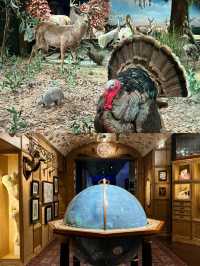 休斯頓自然科學博物館旅行全攻略：探索自然奧秘