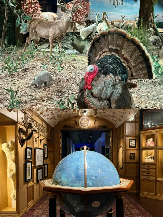 Houston Museum of Natural Science Travel Guide: Explore the Mysteries of Nature