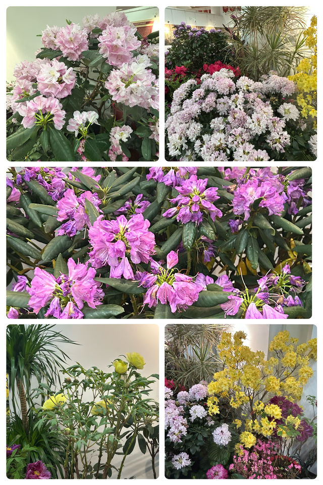 冬日裏的太原植物園