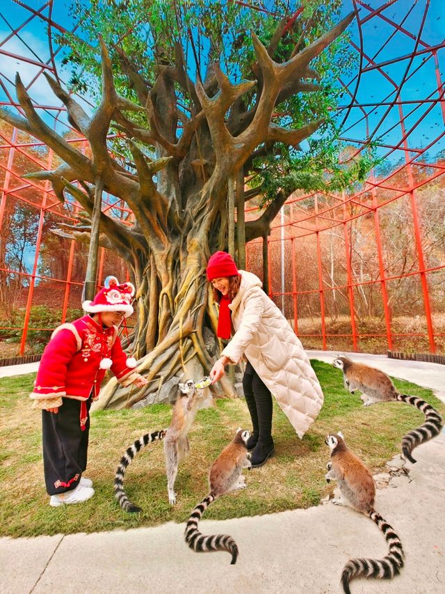 巨新！湖北周邊！春日遛娃自由度滿分～