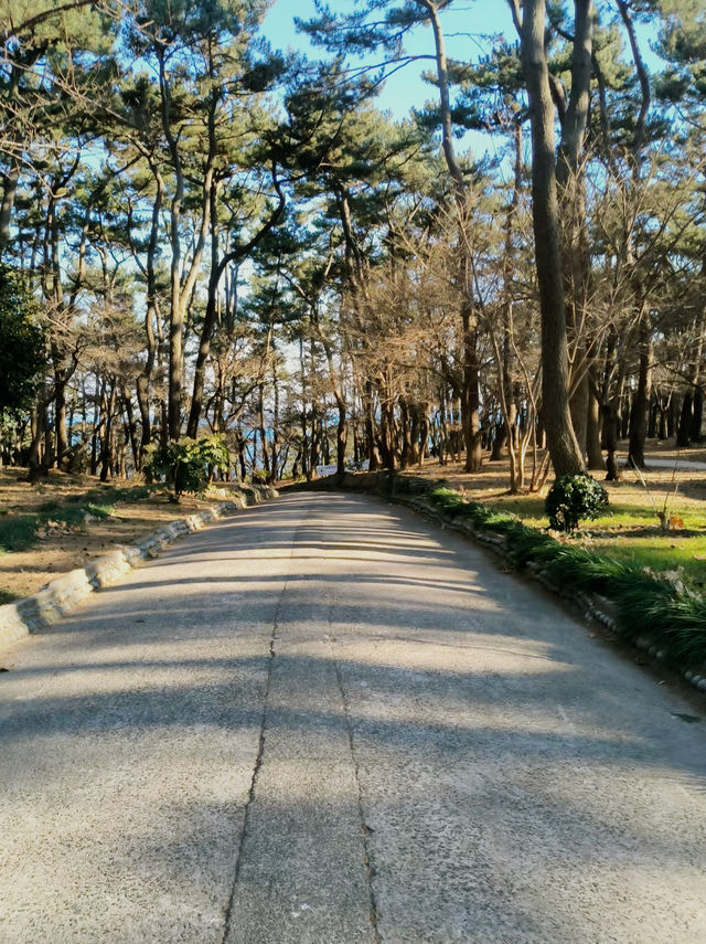 漫步大王岩公園，盡享蔚山自然與文化盛宴