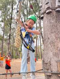 Big Tree Forest Adventure is so Memorable❤️