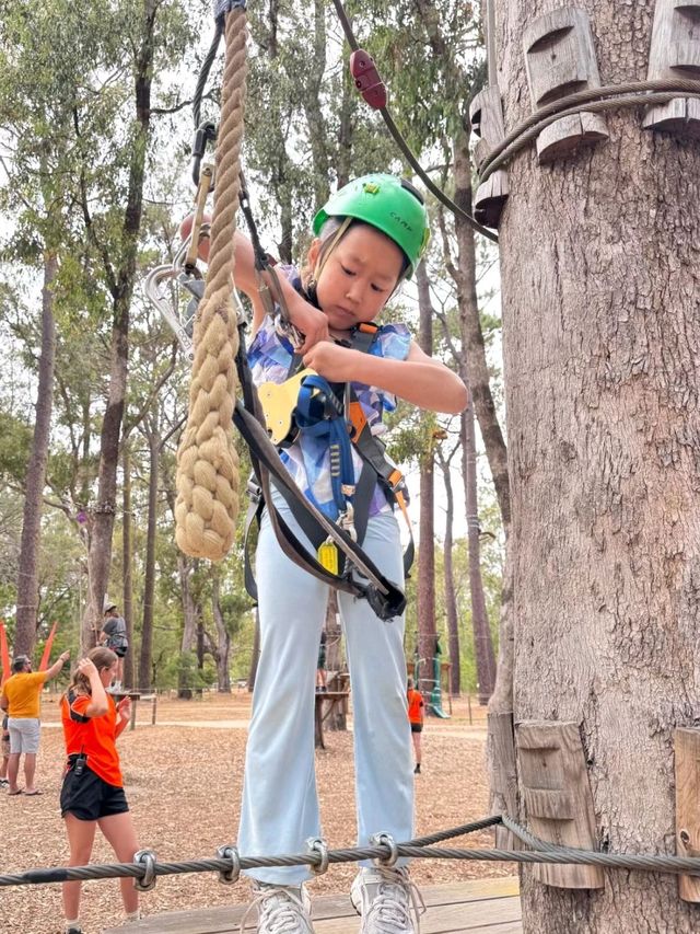 Big Tree Forest Adventure is so Memorable❤️