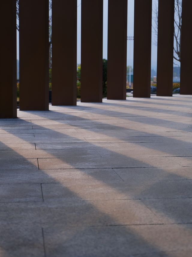 一城一院，一家一卧