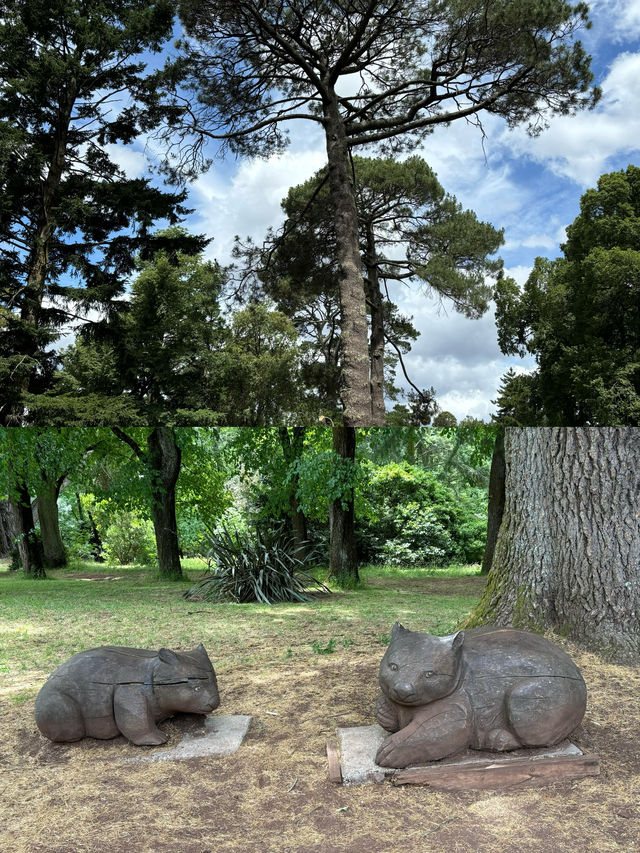 澳洲戴尔斯福特｜夢幻田園間的悠然康養之旅