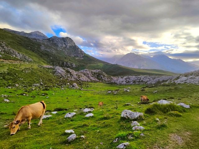 Mountain Route Near Treviso: A Hidden Green Paradise 🌿🐄