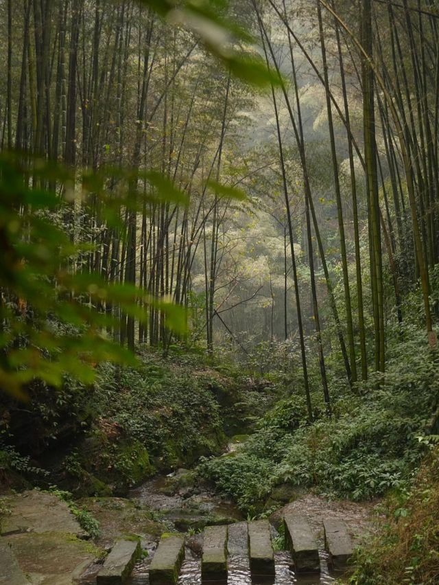 老少咸宜嘅好地方如果偶遇僰小蛙，祈福許願