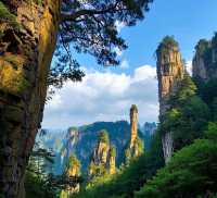 張家界超絕旅遊攻略，三天暢玩不踩雷