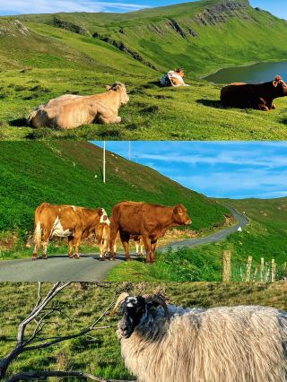 4-day trip to the UK: a great time for winter vacation travel