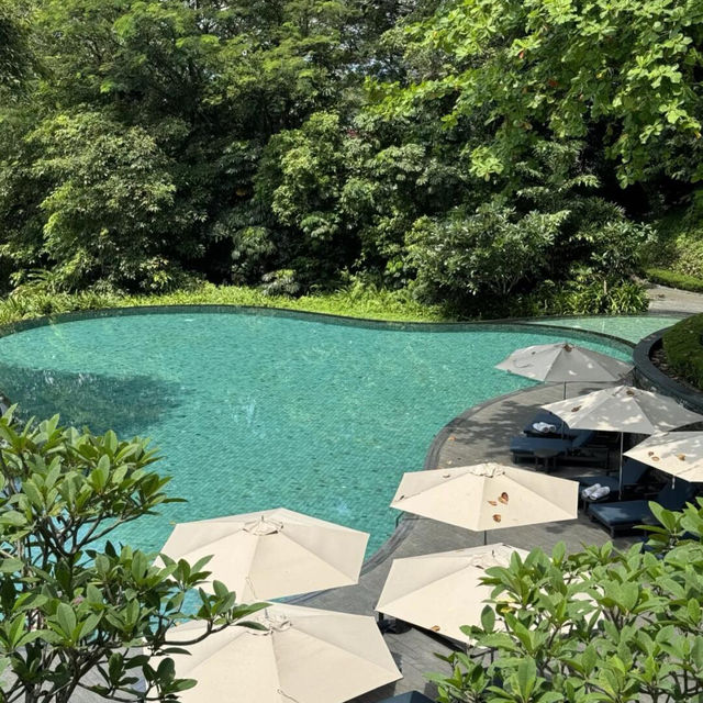 🌴新加坡嘉佩樂 | 森系隱世度假聖地