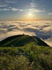 Experience the Stunning Sea of Clouds at Wugong Mountain on June 6