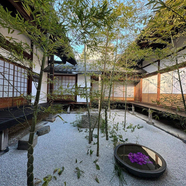 日本必訪！能量爆棚的神聖寺廟🐲親身感受才懂