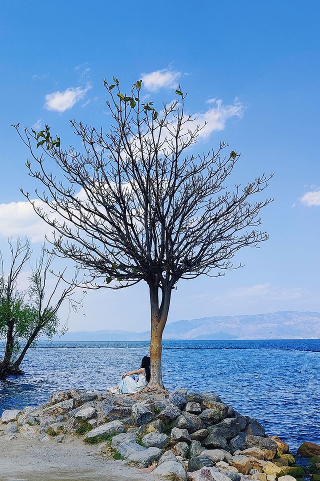 大理騎行洱海邊，欣賞人間三月的春景
