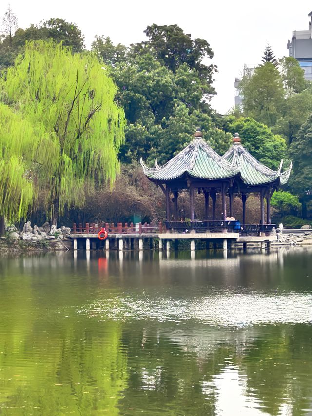 三月遊成都，別錯過這個滿園海棠的古風公園