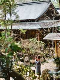 別再只知道京都神社！霧島神宮，藏在鹿兒島的國寶級秘境