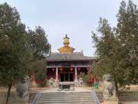 洞林寺