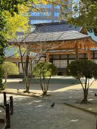 樂水園與住吉神社一日遊：心靈信仰的交織🌳⛩️