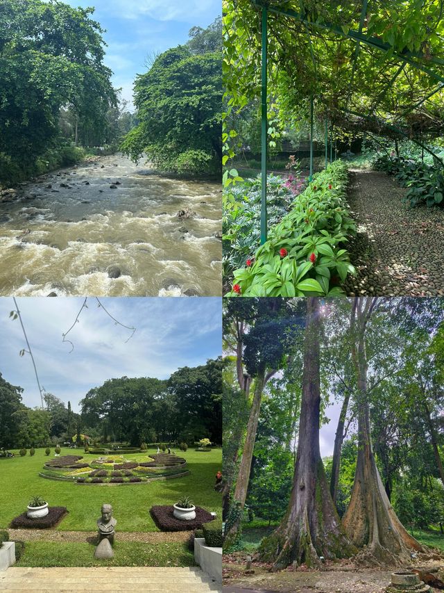 印尼茂物：小眾寶藏旅行地，邂逅綠野仙蹤