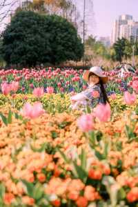 上海市區這片鬱金香花海已經盛開 3.21 實況