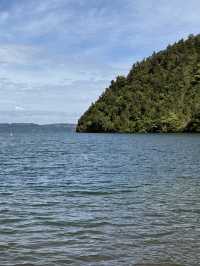 A Swim Like No Other, The Lakes In The Bay Of Plenty New Zealand
