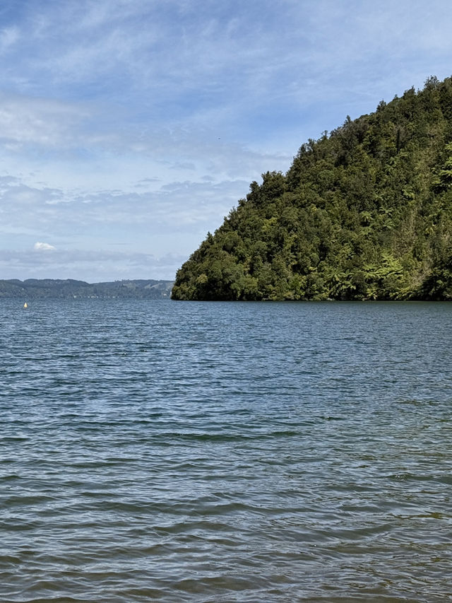 A Swim Like No Other, The Lakes In The Bay Of Plenty New Zealand