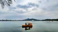 春日的玄武湖，與紫峰共舞