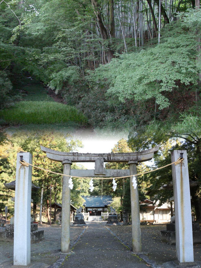 探索日本甲府市 | 歷史與現代交織的寶藏之地