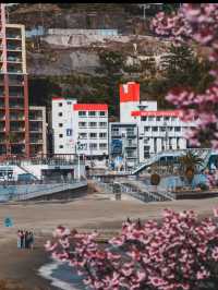 日本賞櫻🌸多條路線攻略請收好