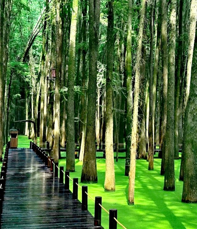 杭州旅遊 | 本地人私藏，避開人潮的寶藏