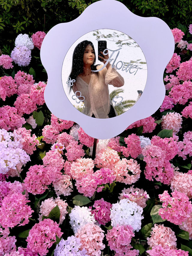 🌷珠海爆火！城市客廳美翻了，快來打卡📸