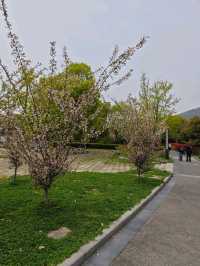 Huishan Ancient Town – Scenic & Historic