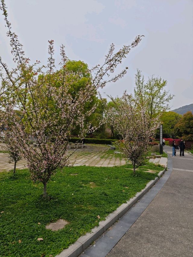 Huishan Ancient Town – Scenic & Historic