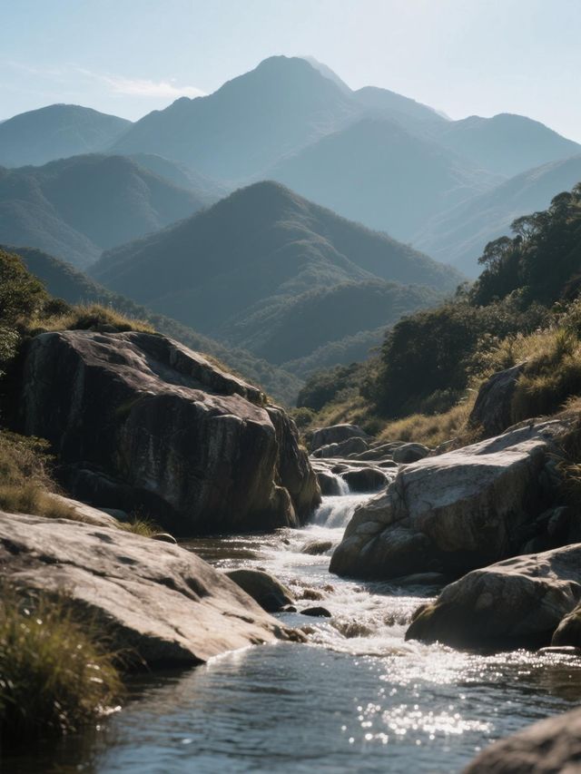邂逅新興天露山，解鎖春日限定玩法