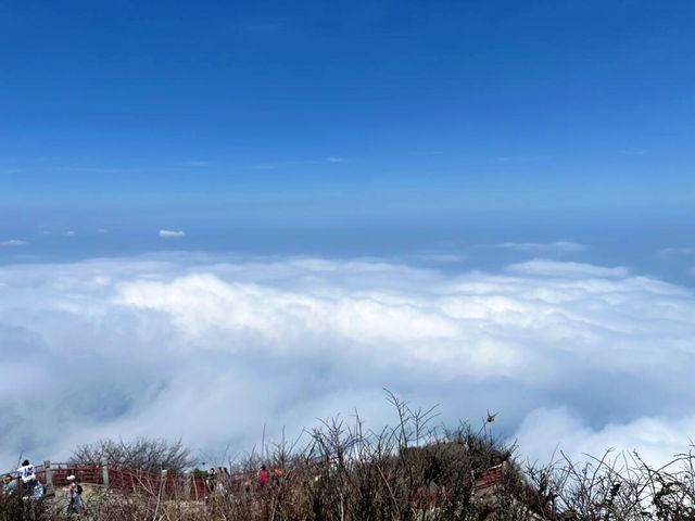"峨眉山一座雲上佛國，人間仙境"。