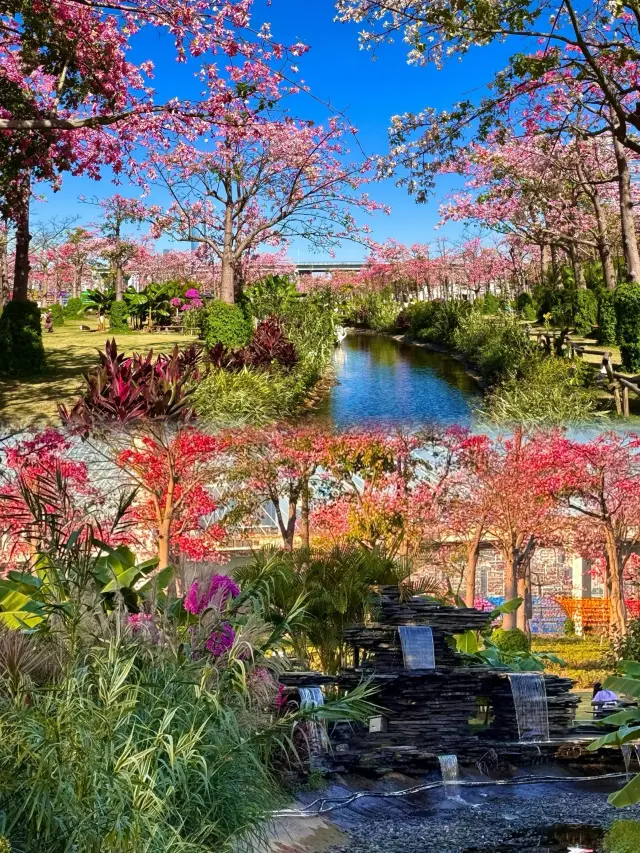 總要去轉一趟珠海吧三天兩夜超詳細攻略