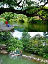 婺源旅行丨婺源四月賞油菜花攻略 真嘅值得