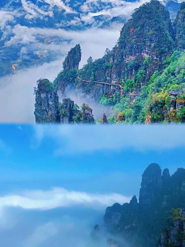 你仲未睇過瑤山㗎嘛