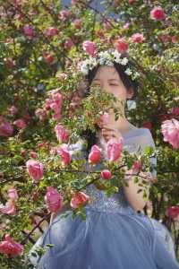 花都開好啦 邂逅麗江聽花谷