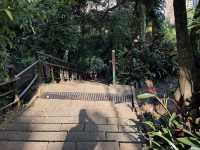 The Best View Of Taipei, Elephant Mountain! Free and convenient ( it’s a must do)