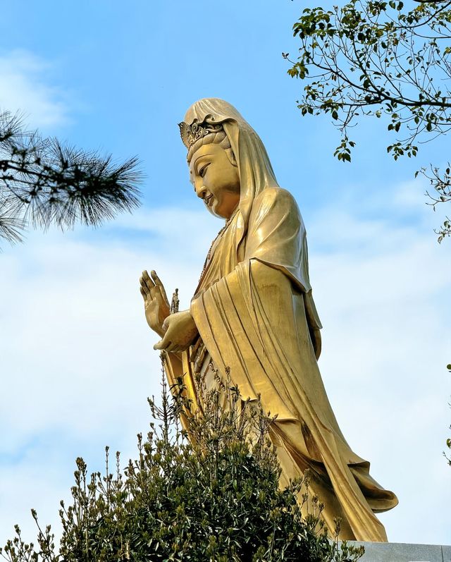 普陀山