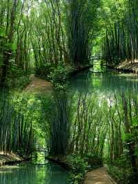 蘇州同里國家濕地公園/吸氧指南