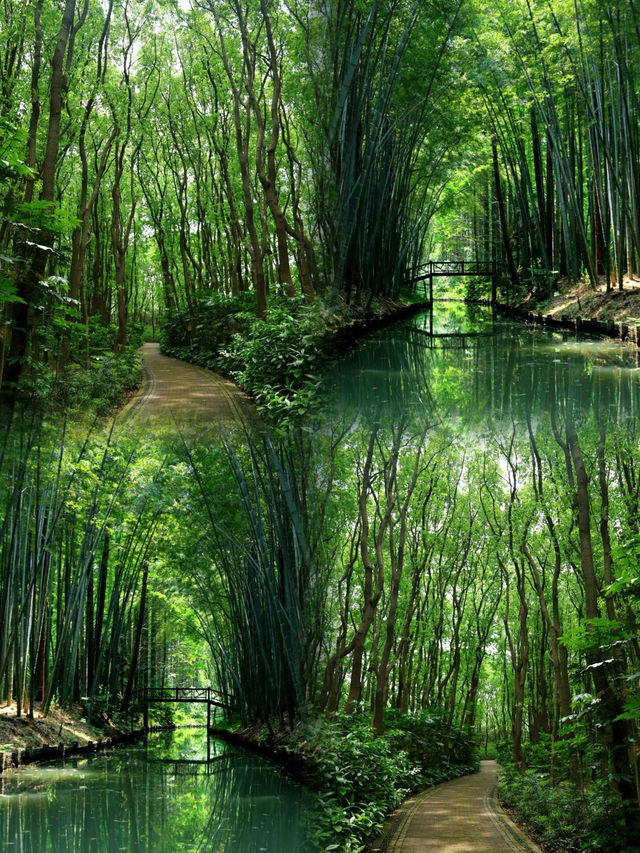 蘇州同里國家濕地公園/吸氧指南